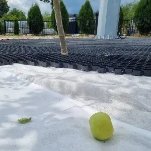 Gazon vs pavele ecologice: ce sa alegi pentru gradina ta?