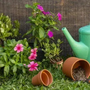 Cum Amenajezi o Grădină Ușor de Întreținut: 4 Soluții Practice