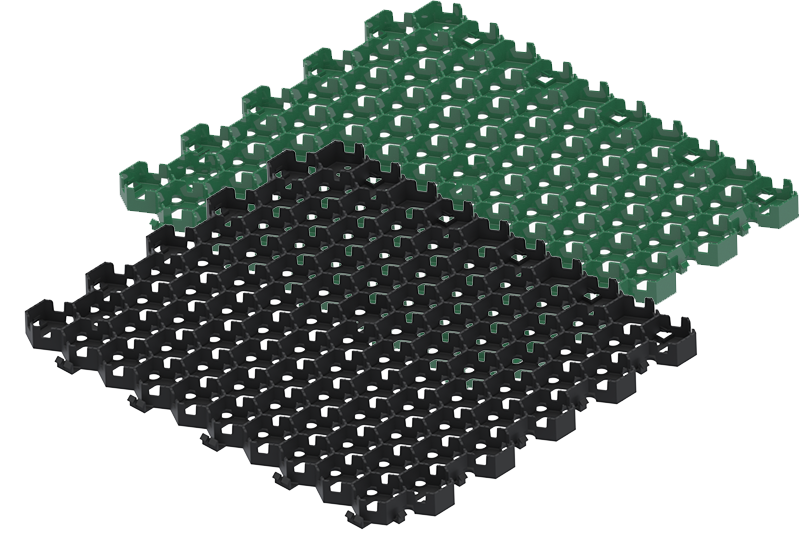 Pavela hexpave